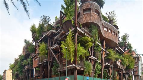 The otherworldly apartments at magic tree